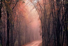 股票配资王:如何能炒好股票-9月1日涨停复盘：122只股涨停 天普股份7连板